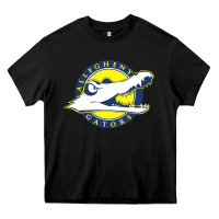 Black allegheny merch Heavy Core Tee - linhVisuals