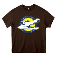 Chocolate Brown allegheny merch Heavy Core Tee - linhVisuals