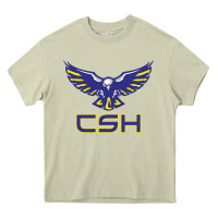 Mossy cold springs high school Heavy Core Tee - linhVisuals