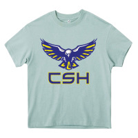 Arona cold springs high school Heavy Core Tee - linhVisuals