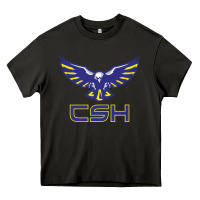 Asphalt cold springs high school Heavy Core Tee - linhVisuals
