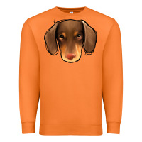 Carrot Dachshund Premium Sweatshirt - Jasminsmagicworld