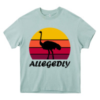 Arona retro vintage allegedly ostrich Heavy Core Tee - linhVisuals