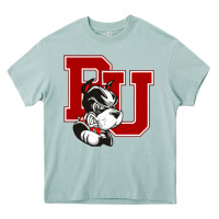 Arona bu university terries champion Heavy Core Tee - linhVisuals