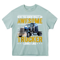 Arona awesome trucker big rig semi trailer truck driver gift men tank top Heavy Core Tee - linhVisuals