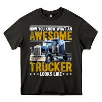 Awesome Trucker Big Rig Semi Trailer Truck Driver Gift Men Tank Top Heavy Core Tee | Teevron