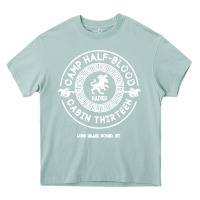 Arona cabin thirteen Heavy Core Tee - linhVisuals