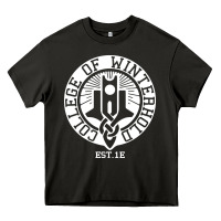 Asphalt college of winterhold Heavy Core Tee - linhVisuals