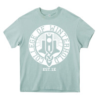Arona college of winterhold Heavy Core Tee - linhVisuals