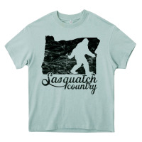 Arona sasquatch country   sasquatch Heavy Core Tee - linhVisuals