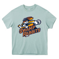 Arona greenville swamp rabbits Heavy Core Tee - linhVisuals
