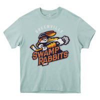 Arona greenville swamp rabbits Heavy Core Tee - linhVisuals