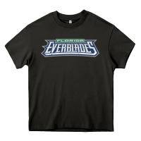 Asphalt florida everblades Heavy Core Tee - linhVisuals