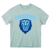 Arona columbia university Heavy Core Tee - linhVisuals