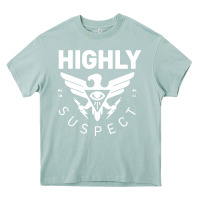 Arona highly suspect 2022 Heavy Core Tee - linhVisuals