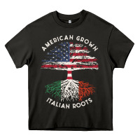 American Grown Italian Roots Usa Italy Flag Tree Heavy Core Tee | Teevron