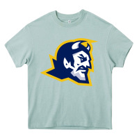 Arona mt lebanon high school Heavy Core Tee - linhVisuals