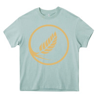 Arona west coast baptist college Heavy Core Tee - linhVisuals