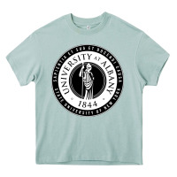 Arona University Albany Suny Heavy Core Tee - linhVisuals