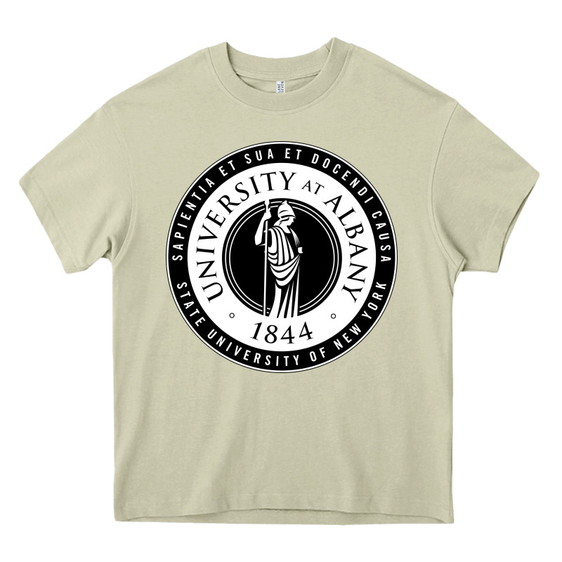 University Albany Suny Heavy Core Tee by linhVisuals | Teevron