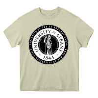 Mossy University Albany Suny Heavy Core Tee - linhVisuals