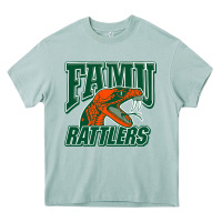 Arona FAMU RATTLERS Heavy Core Tee - linhVisuals