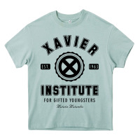 Arona xavier institute Heavy Core Tee - linhVisuals