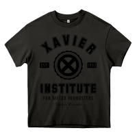 Asphalt xavier institute Heavy Core Tee - linhVisuals