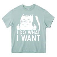 Arona i do what i want cat giving a finger funny middle finger rude graphic Heavy Core Tee - linhVisuals