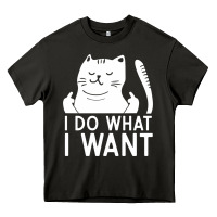 Asphalt i do what i want cat giving a finger funny middle finger rude graphic Heavy Core Tee - linhVisuals