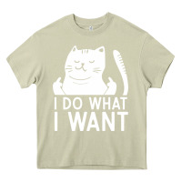 Mossy i do what i want cat giving a finger funny middle finger rude graphic Heavy Core Tee - linhVisuals