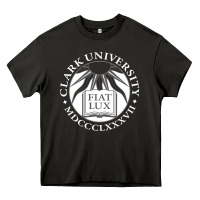 Asphalt clark university Heavy Core Tee - linhVisuals