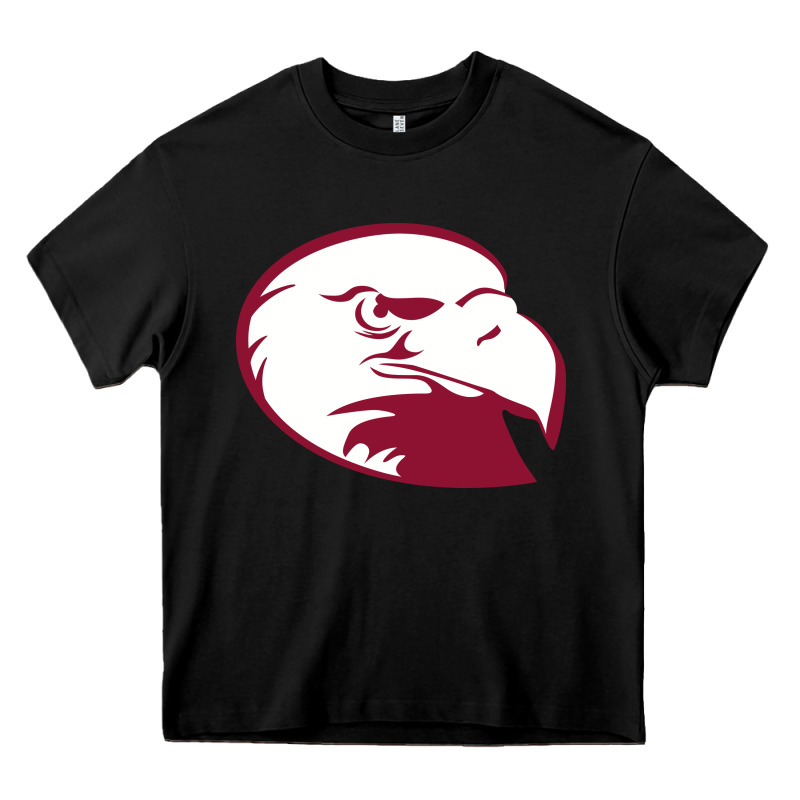 Lock Haven Bald Eagles Heavy Core Tee by linhVisuals | Teevron