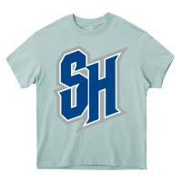 Arona seton hall pirates Heavy Core Tee - linhVisuals