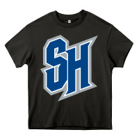 Seton Hall Pirates Heavy Core Tee | Teevron