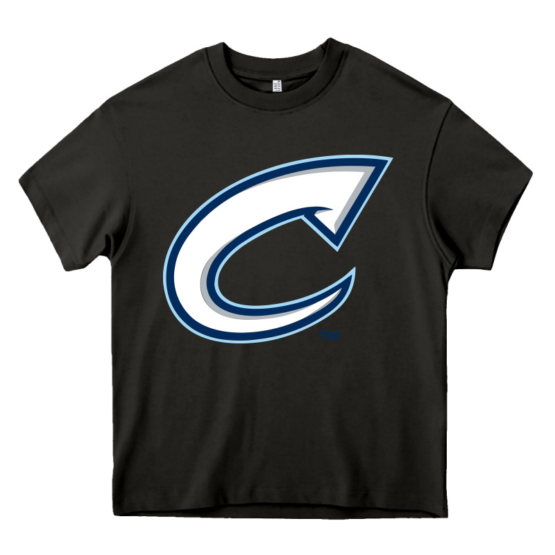 Columbus Clippers Heavy Core Tee by linhVisuals | Teevron