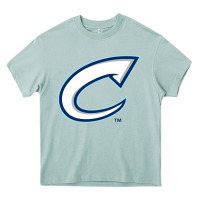 Arona columbus clippers Heavy Core Tee - linhVisuals