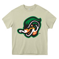 Mossy down east wood ducks Heavy Core Tee - linhVisuals