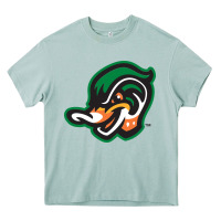 Arona down east wood ducks Heavy Core Tee - linhVisuals