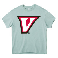 Arona virginia merch, wise, cavaliers Heavy Core Tee - linhVisuals