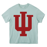 Arona indiana gifts Heavy Core Tee - linhVisuals