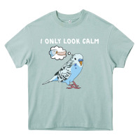 Arona parakeet bird biting finger funny i only look calm Heavy Core Tee - linhVisuals