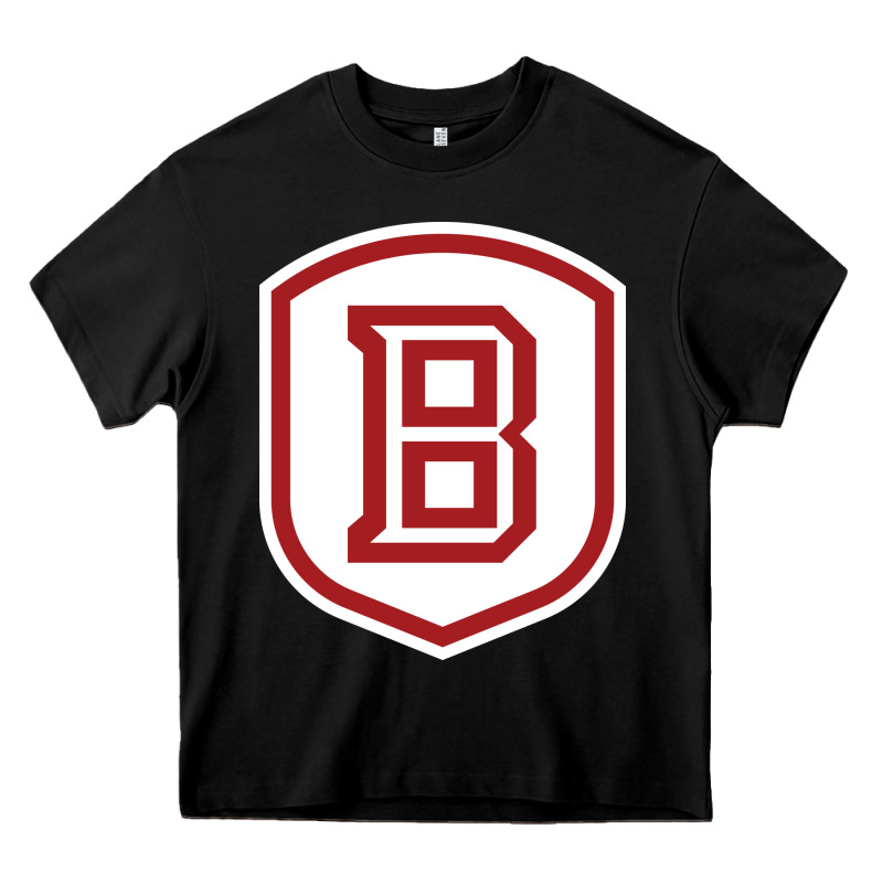 Bradley University Athletics Heavy Core Tee by linhVisuals | Teevron