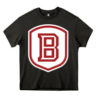 Asphalt Bradley University Athletics Heavy Core Tee - linhVisuals