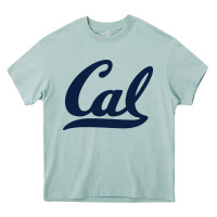 Arona california golden bears Heavy Core Tee - linhVisuals