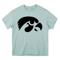 Arona university of iowa athletics teams gear Heavy Core Tee - linhVisuals