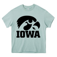 Arona university of iowa athletics teams gear Heavy Core Tee - linhVisuals