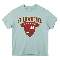 Arona st. lawrence university Heavy Core Tee - linhVisuals
