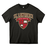 Asphalt st. lawrence university Heavy Core Tee - linhVisuals