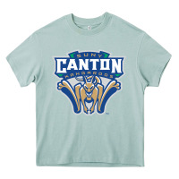 Suny Canton Heavy Core Tee | Teevron